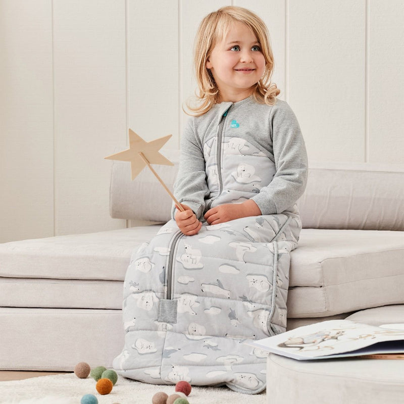 Love to Dream: Sleep Bag Cold 3.5 TOG - South Pole Grey (Large) (18-36 Months)