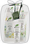 Dr Organic: Happy Baby Bodycare Value Pack