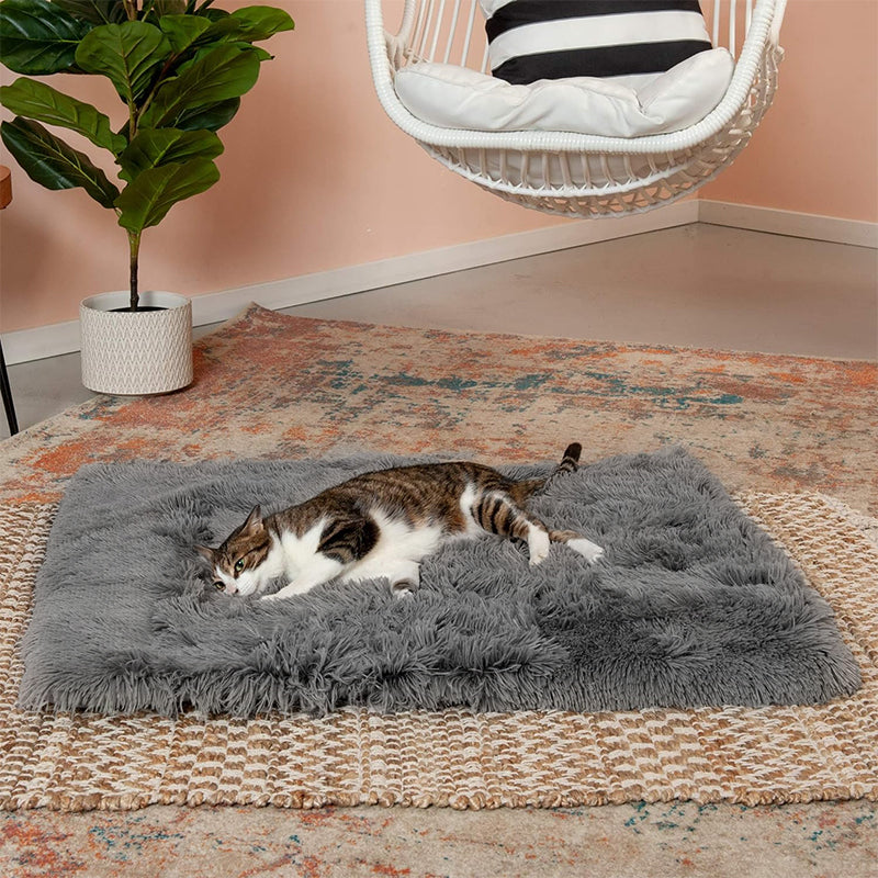 PETSWOL Throw Plush Blanket for Pets - Dark Grey