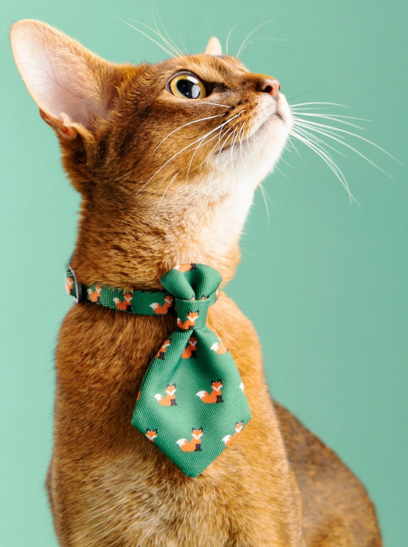 Pidan Pet Necktie Collar - Fox