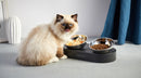 Petkit Fresh Nano - 15" Adjustable Feeding Metal Dual Bowl