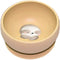 Sassi: Silicone Meal Bowl - Gnawy the Sloth