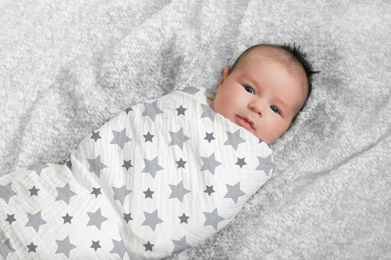 Aden + Anais: Classic Swaddle Set - Twinkle (2 Pack)