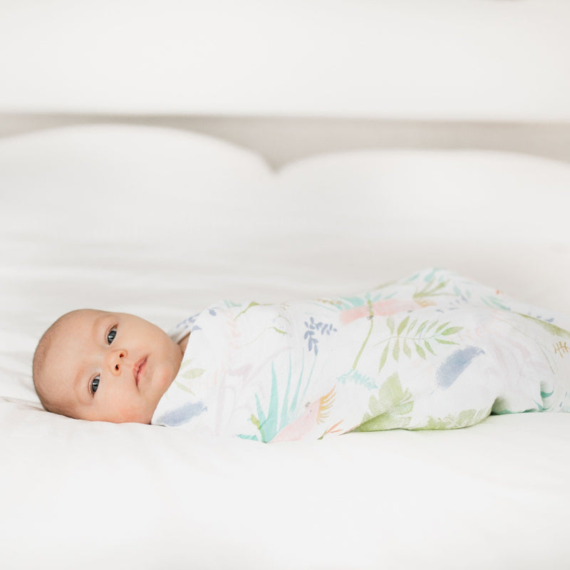 Aden + Anais: Classic Swaddle Set - Tropicalia (4 Pack)