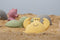 Tikiri: Ocean Buddies Teether and Rattle Toy - Crab