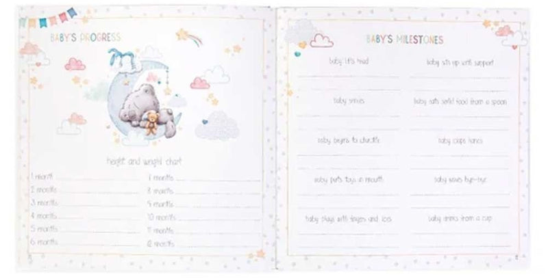 Tiny Tatty Teddy: Baby Journal