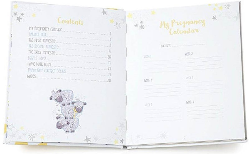 Tiny Tatty Teddy: Pregnancy Journal - Bundle of Joy