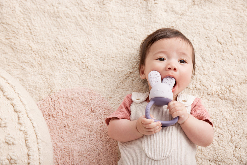 b.box: Chill + Fill Teether - Blush