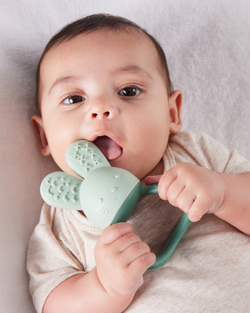 b.box: Chill + Fill Teether - Sage