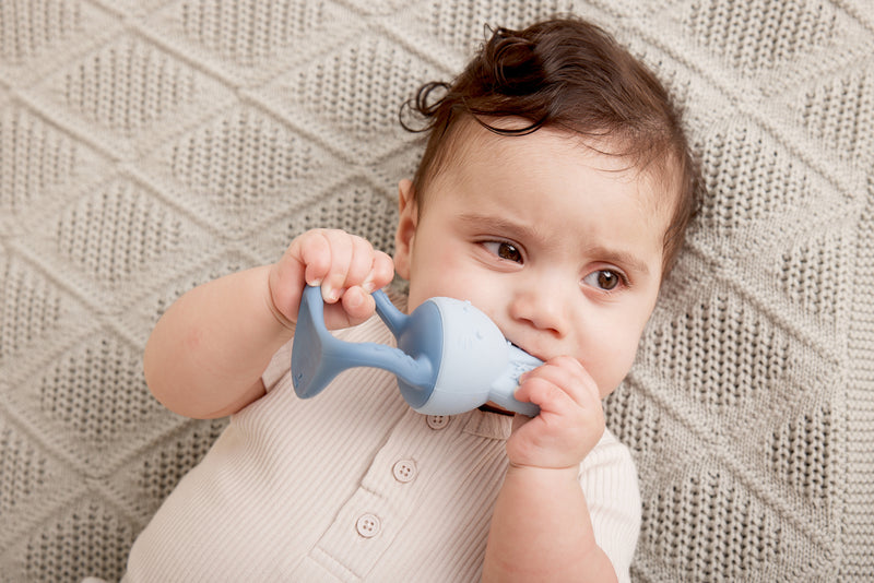 b.box: Chill + Fill Teether - Sage