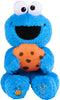 Sesame Street: Peek-A-Boo Cookie Monster