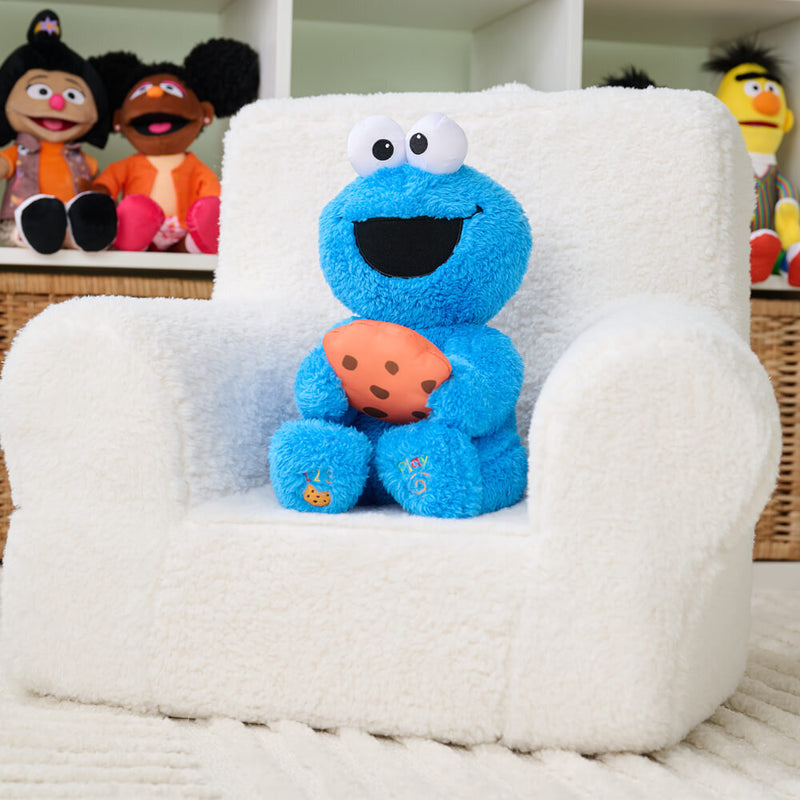 Sesame Street: Peek-A-Boo Cookie Monster