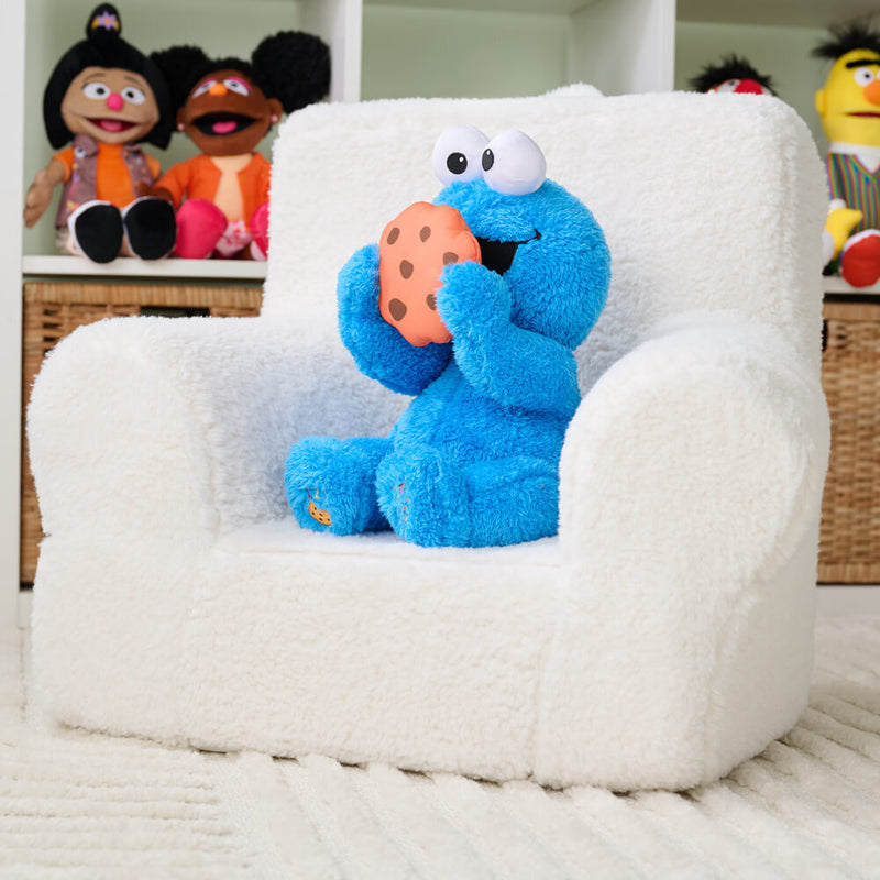 Sesame Street: Peek-A-Boo Cookie Monster