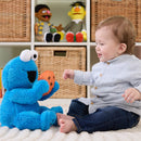 Sesame Street: Peek-A-Boo Cookie Monster