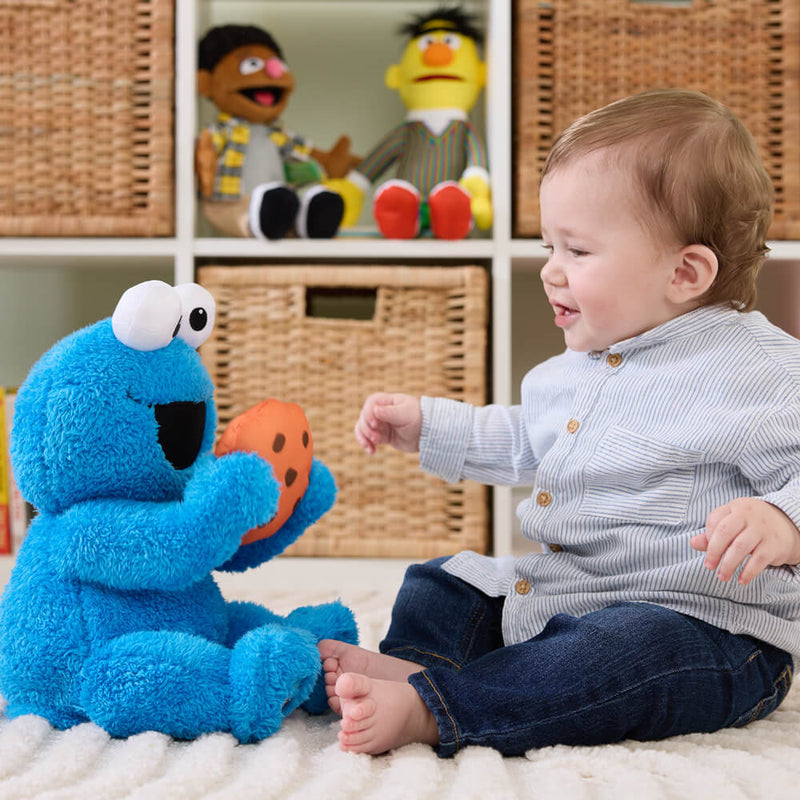 Sesame Street: Peek-A-Boo Cookie Monster