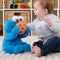 Sesame Street: Peek-A-Boo Cookie Monster