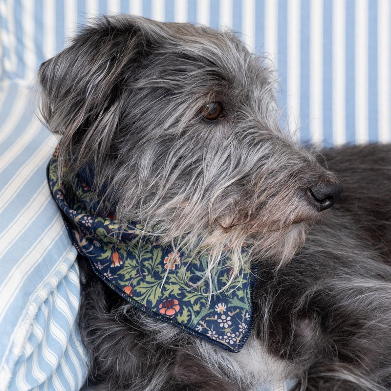 William Morris: Canine Companion Dog Bandana and Hand Cream Gift