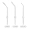 Ordo: Dental Selection (3 Pack)