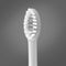 Ordo: Sonic+ Electric Toothbrush - White