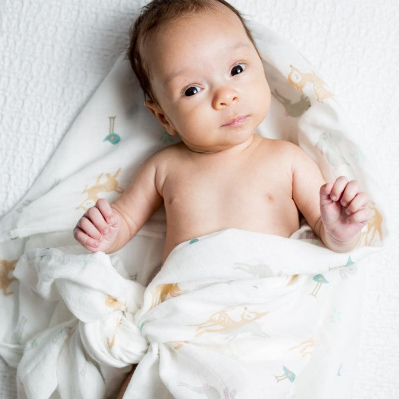 Lulujo: Muslin Cotton Swaddle - Little Fawn