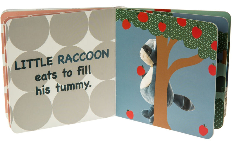 Mary Meyer: Leika Little Raccoon Book