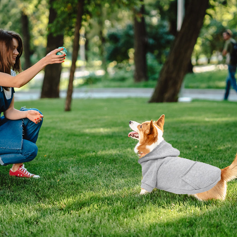 PETSWOL Dog Hoodie with Pocket - Grey, Medium