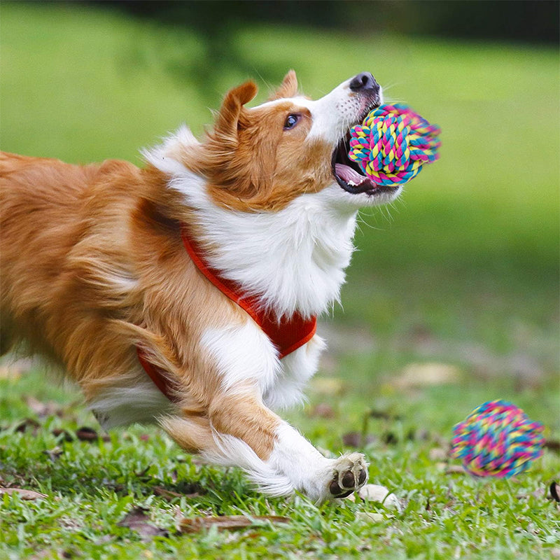 Zoomies Dog Rope Toys 4 Pack