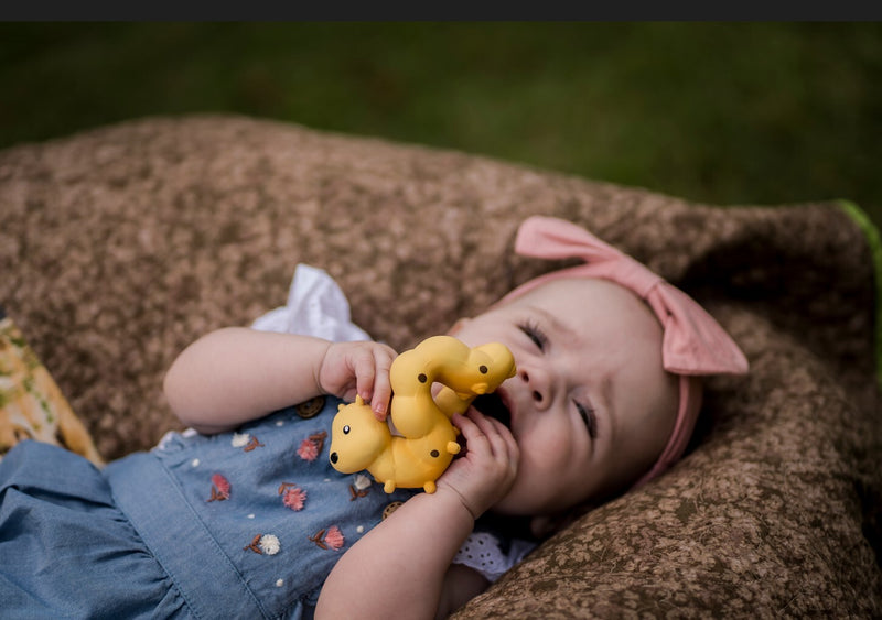 Tikiri: Garden Animals Teether and Rattle Toy - Caterpillar