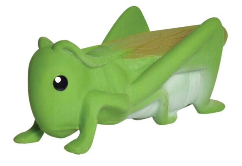 Tikiri: Garden Animals Teether and Rattle Toy - Grasshopper (Gift Boxed)