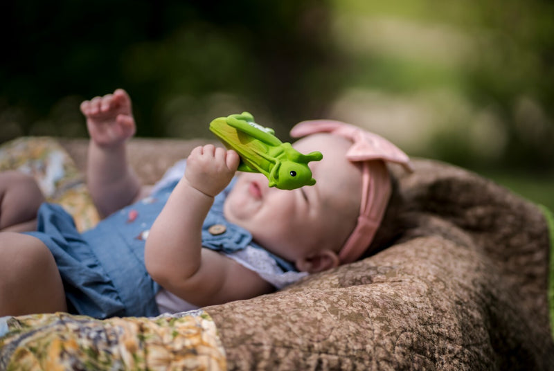 Tikiri: Garden Animals Teether and Rattle Toy - Grasshopper (Gift Boxed)