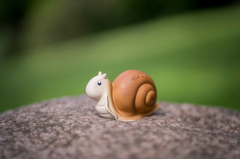 Tikiri: Garden Animals Teether and Rattle Toy - Snail