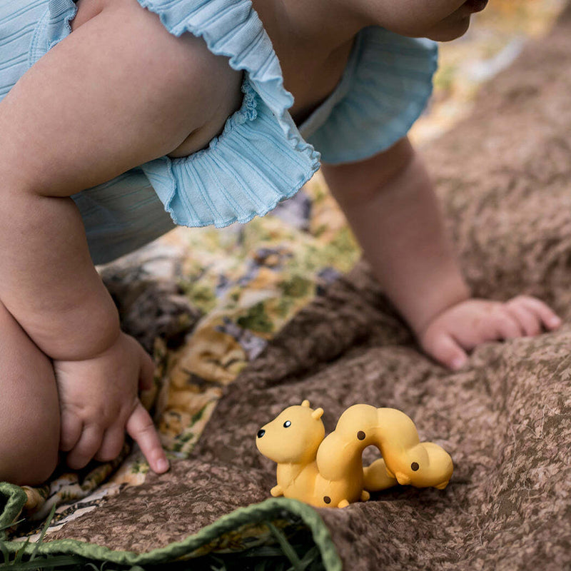 Tikiri: Garden Animals Teether and Rattle Toy - Caterpillar