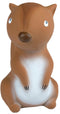 Tikiri: My 1st Tikiri Arctic Squirrel (Gift Boxed)