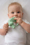 Tikiri: My 1st Tikiri Safari Natural Rubber Baby Rattle & Bath Toy - Crocodile (Gift Boxed)