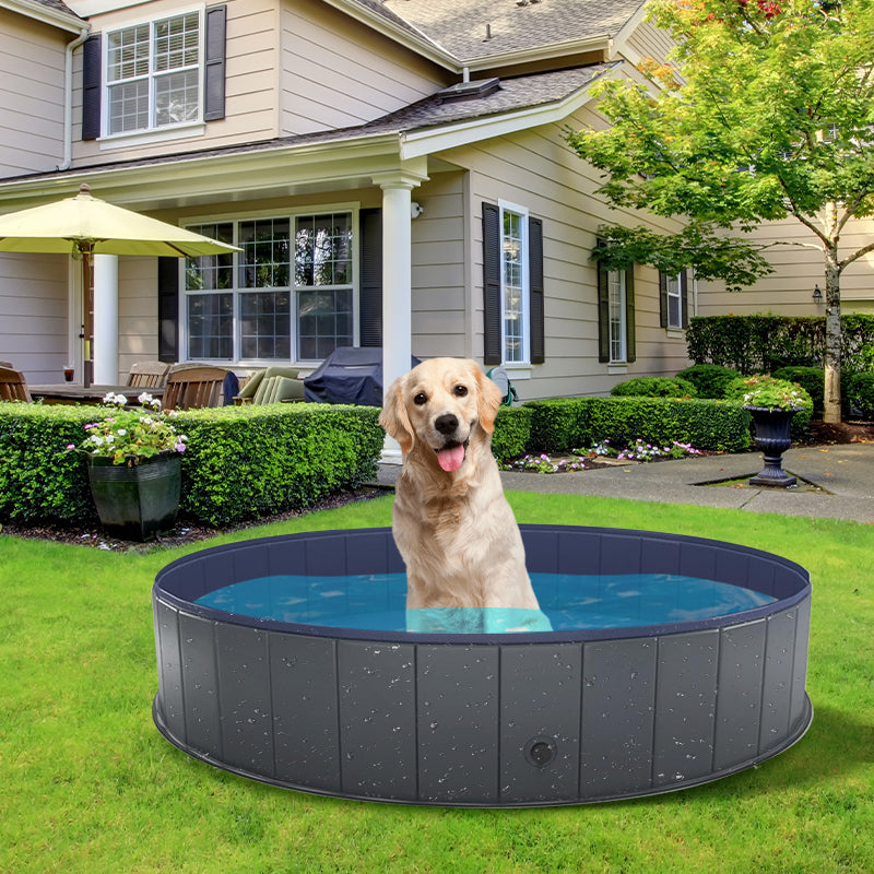 Zoomies Portable Bath Tub for Pets - L