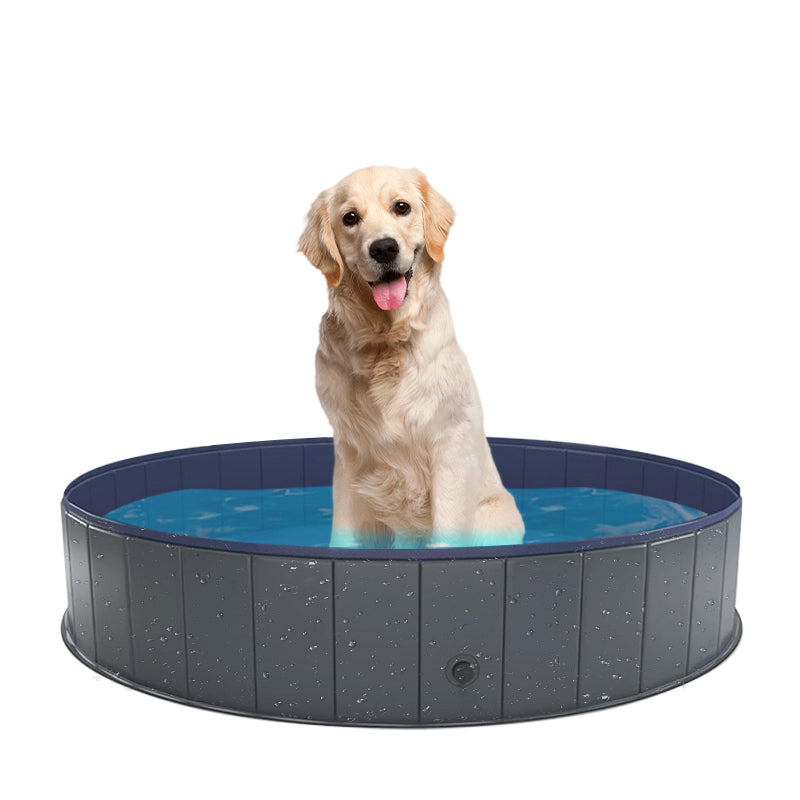 Zoomies Portable Bath Tub for Pets - L