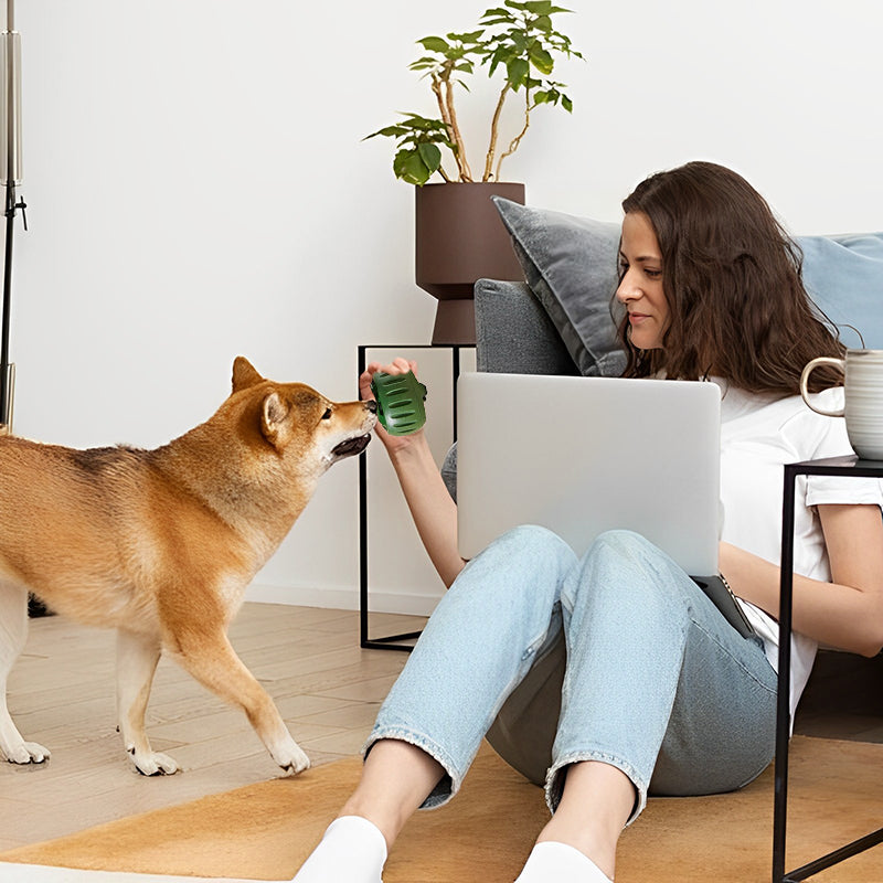 Zoomies Durable and Interactive Round Dog Toy - Green