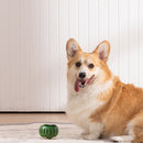 Zoomies Durable and Interactive Round Dog Toy - Green