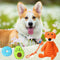 Zoomies 9 Pack Puppy Toys for Teething Small Dogs