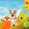 Zoomies 9 Pack Puppy Toys for Teething Small Dogs