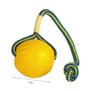 Zoomies 9CM Dog Ball On a Rope Dog Toy