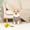 Zoomies 9CM Dog Ball On a Rope Dog Toy