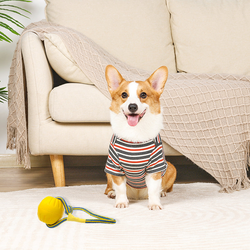 Zoomies 9CM Dog Ball On a Rope Dog Toy