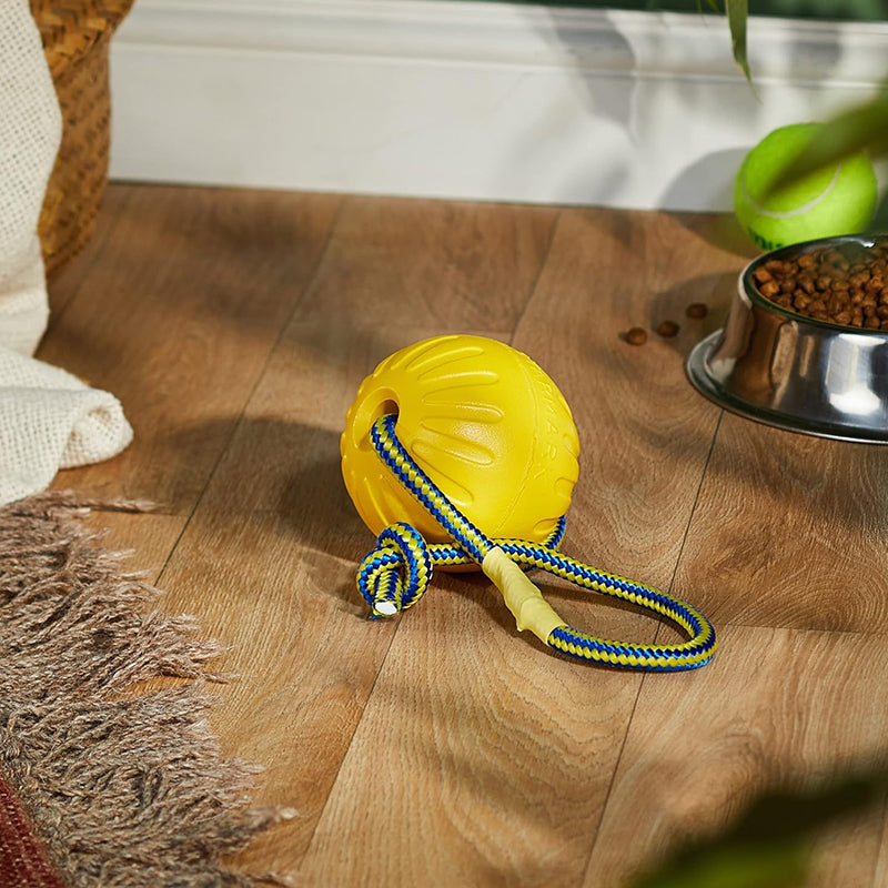 Zoomies 9CM Dog Ball On a Rope Dog Toy