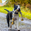 Zoomies Dog Rope Toy - Yellow