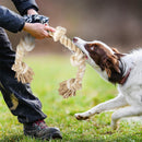 Zoomies Dog Rope Toy - Khaki