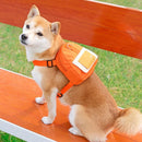 Dog Backpack Harness with D-Ring - Orange