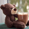 Gund: Fuzzy Bear - Chocolate (Small)