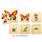 Fun Factory: Wooden Layered Butterfly Puzzle