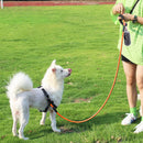 ZOOMIES 1.5M Reflective Threads Dog Leash with Padded Handle - Orange